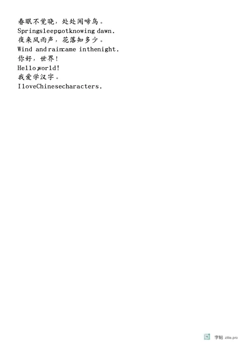 多语种注音横线页字帖示例：多语言文本带拼音的横线练习